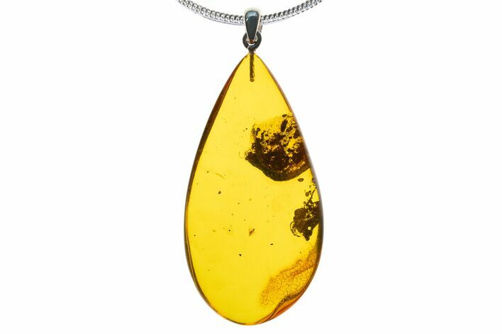 Polished Baltic Amber Pendant (Necklace) - Contains Fly & Ant! #339463